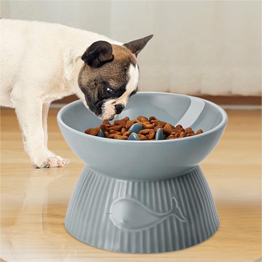 Elevated Slow Feeder Bowl for Cats and Small Dog