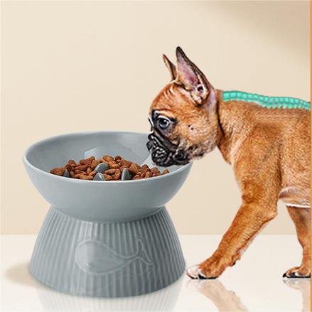 Elevated Slow Feeder Bowl for Cats and Small Dog