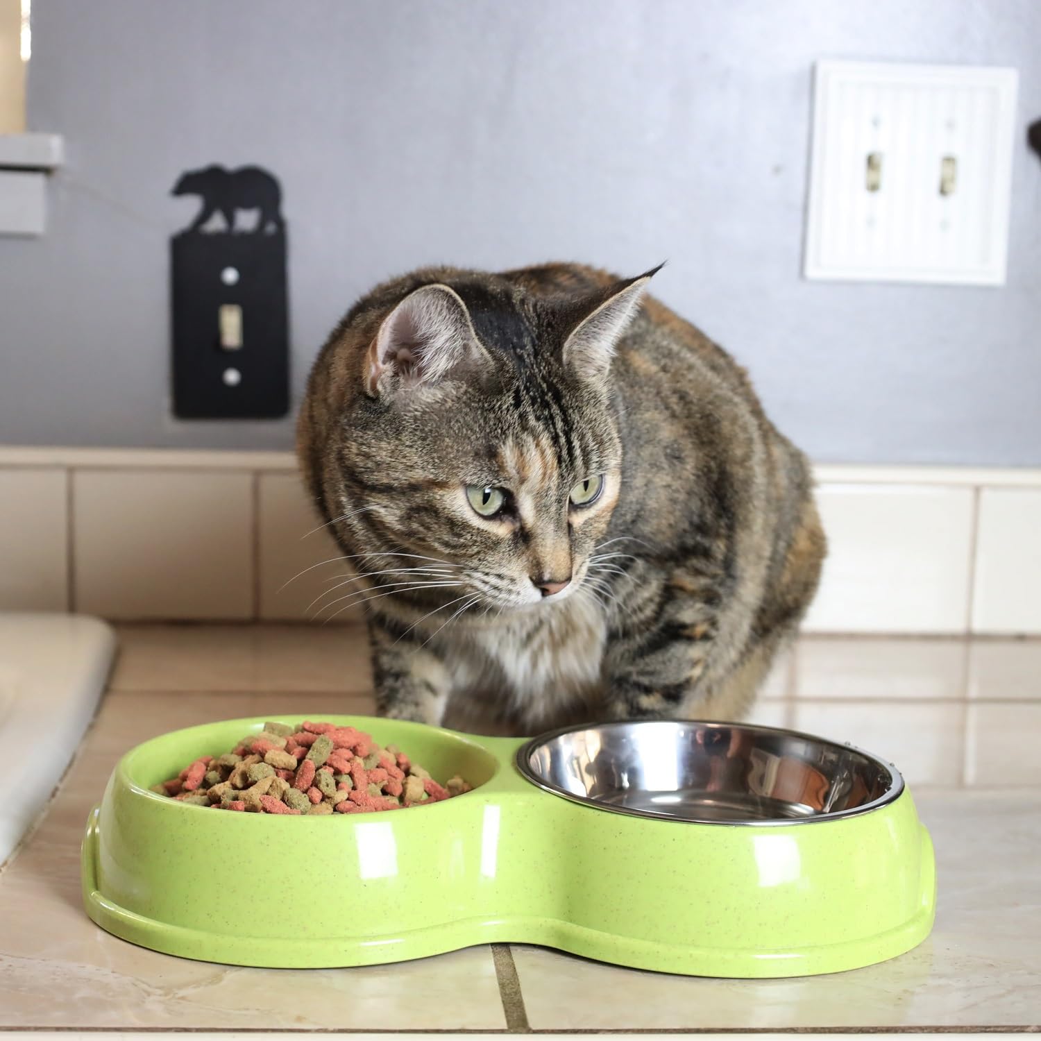 Double Slow Feeder Dog Bowl