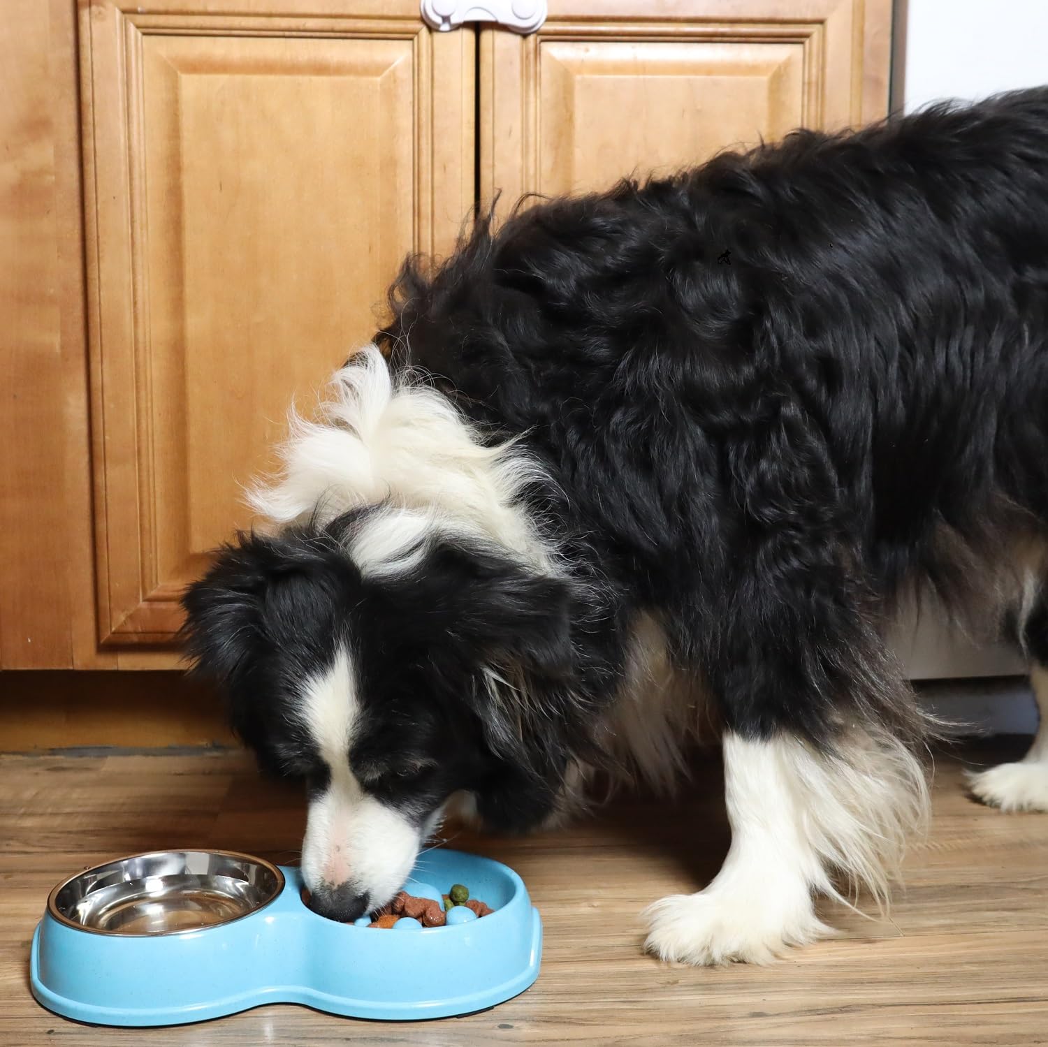 Double Slow Feeder Dog Bowl