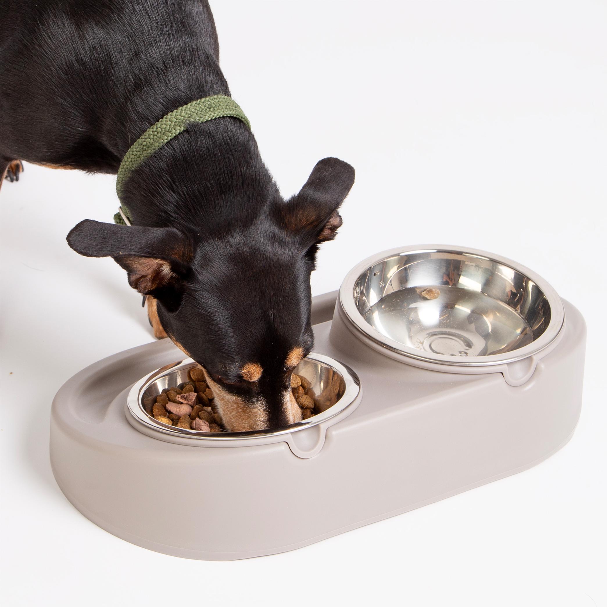 Non-slip Silicone Stainless Steel Pet Bowl