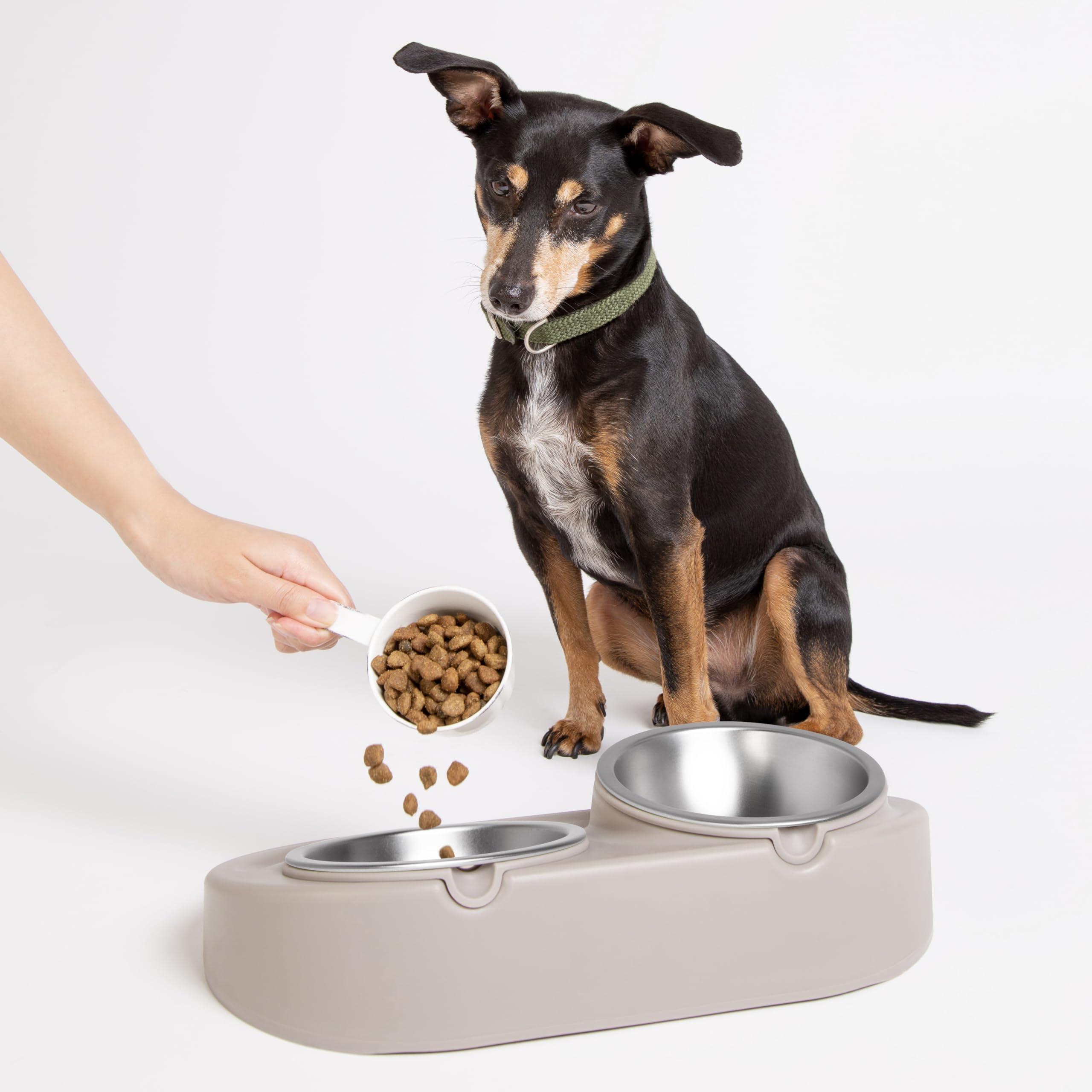 Non-slip Silicone Stainless Steel Pet Bowl