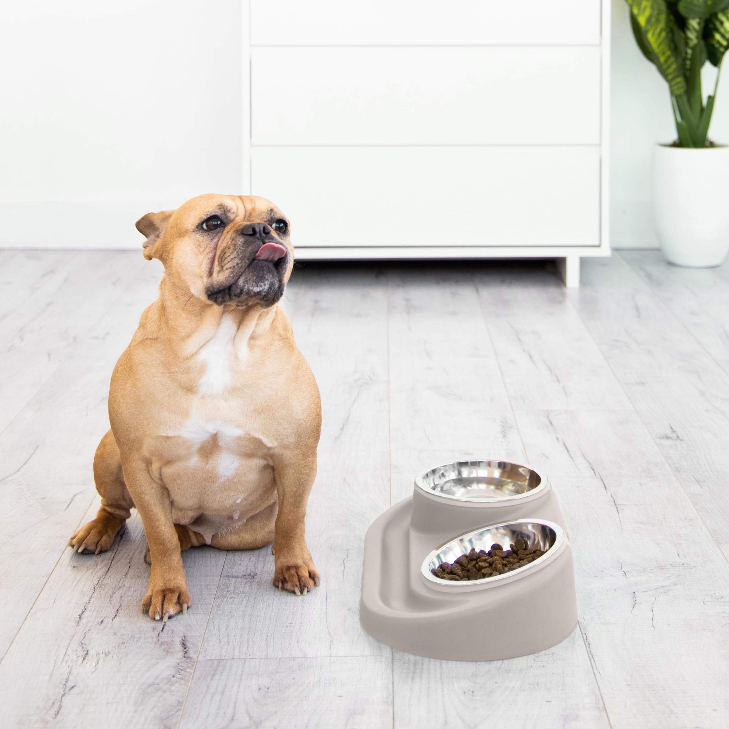 Non-slip Silicone Stainless Steel Pet Bowl