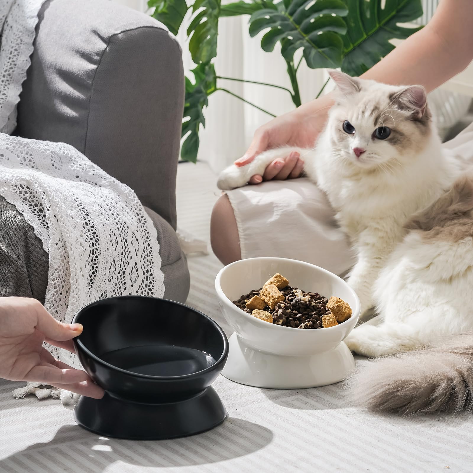 Dog & Cat Bowl Tall Ceramic Bowl