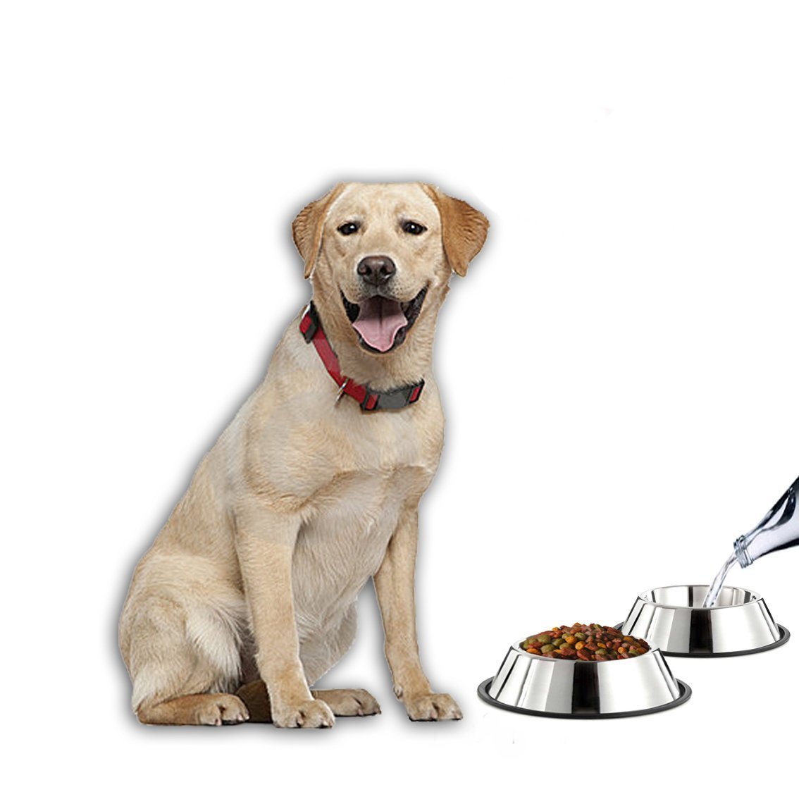 Stainless Steel Dog Bowls with Rubber Bottom