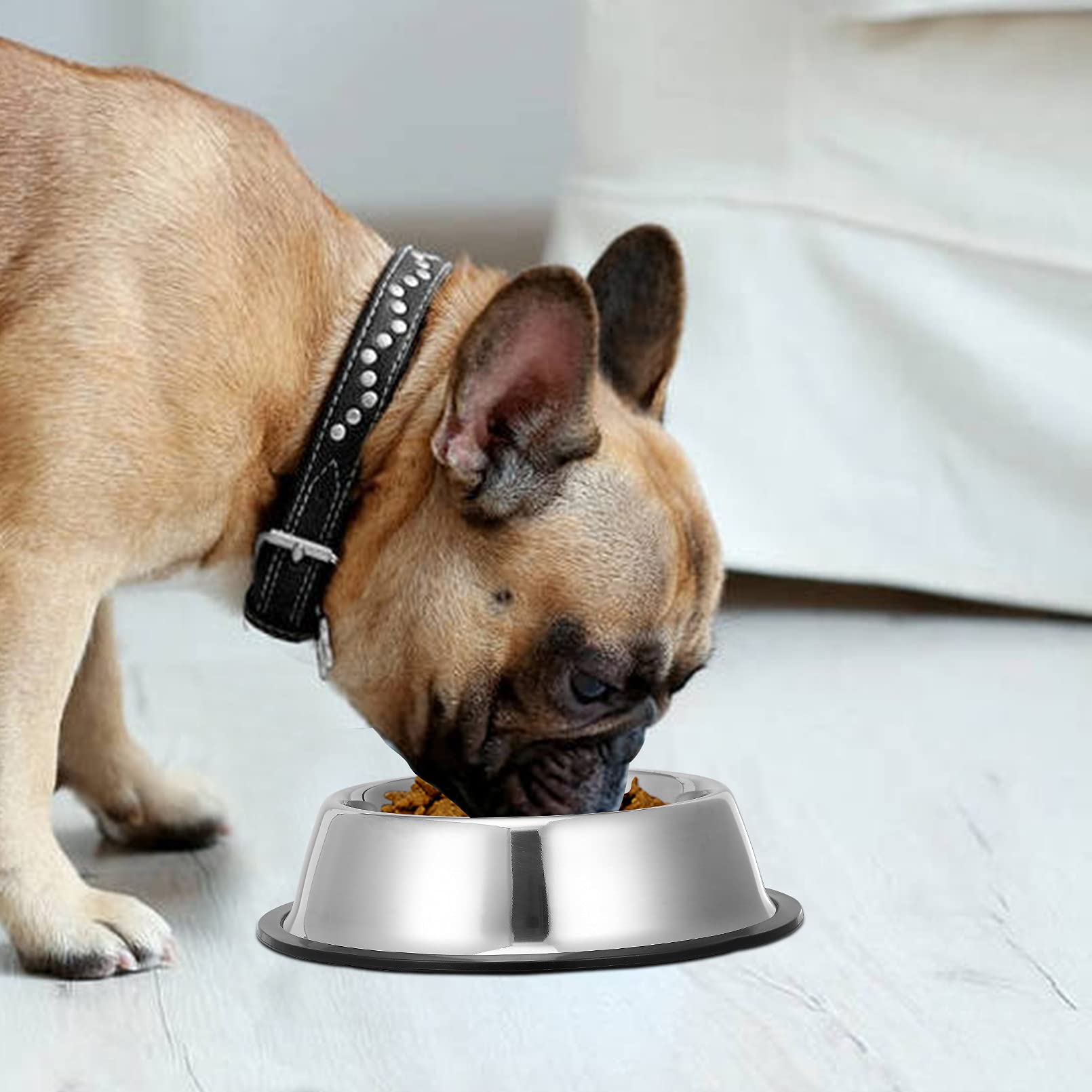 Stainless Steel Dog Bowls with Rubber Bottom