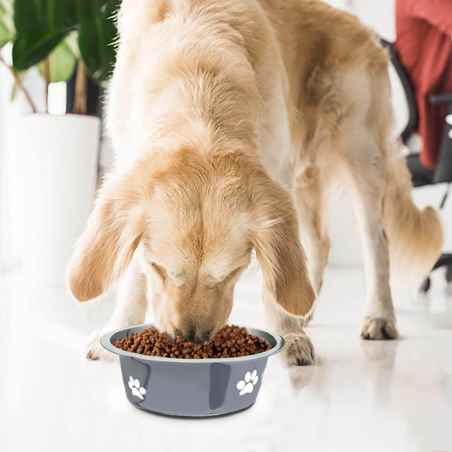 Stainless Steel Dog Bowls