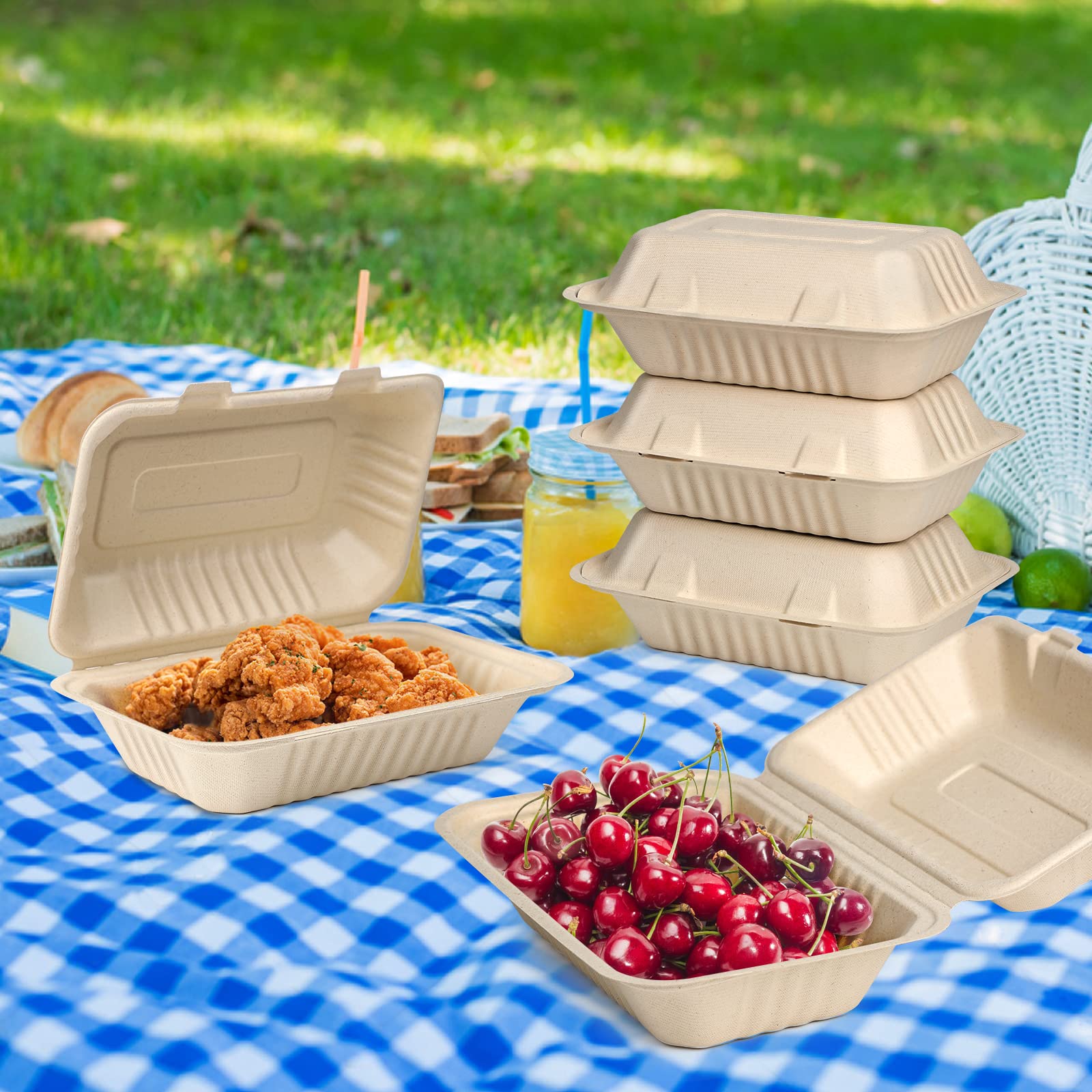 Clamshell Take Out Food Containers