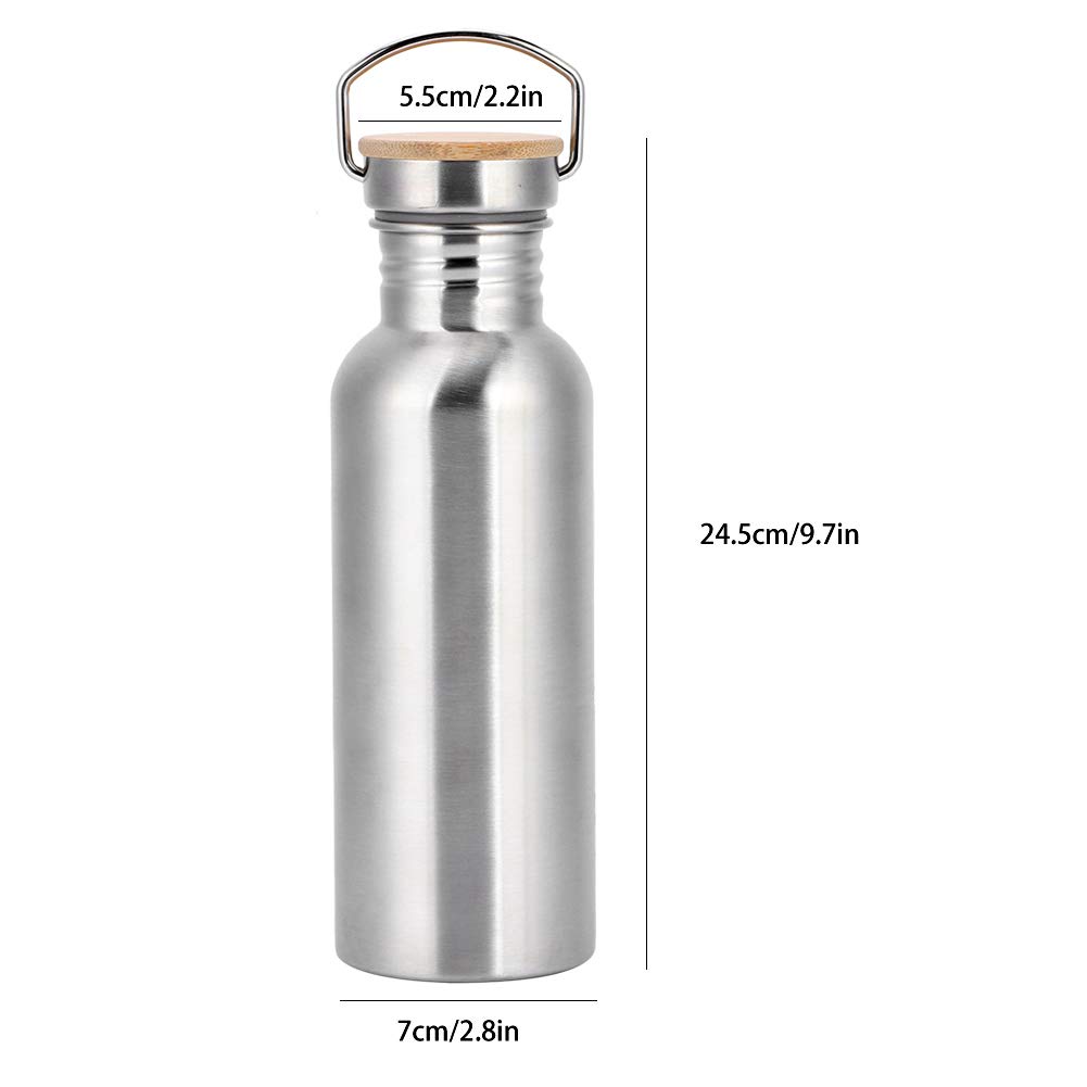 Classic Vacuum Insulated Bottle