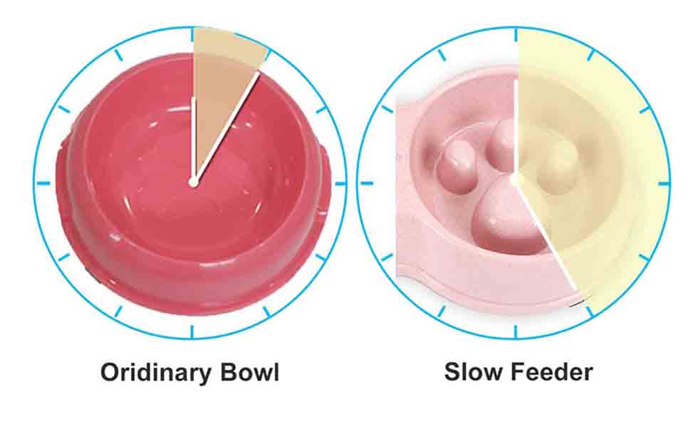 New double bowl slow food bowl, silicone stainless steel anti-choking dog&cat bowl(图3)