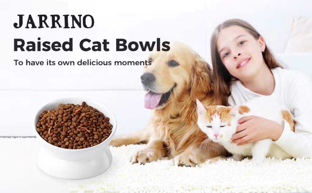 Dog & Cat Bowl Tall Ceramic Bowl(图1)