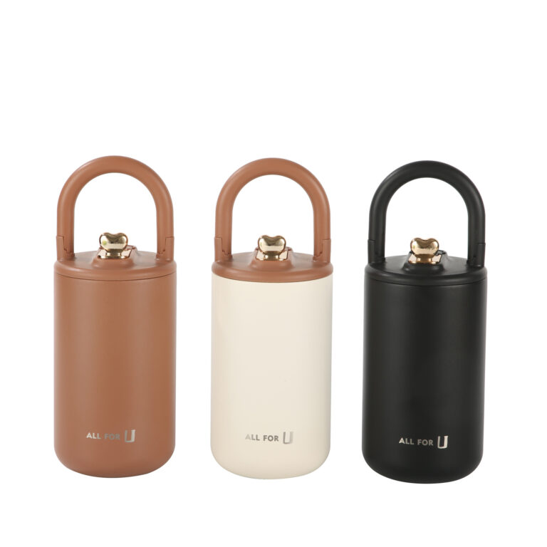Insulated Stainless Steel Water Bottle with Straw