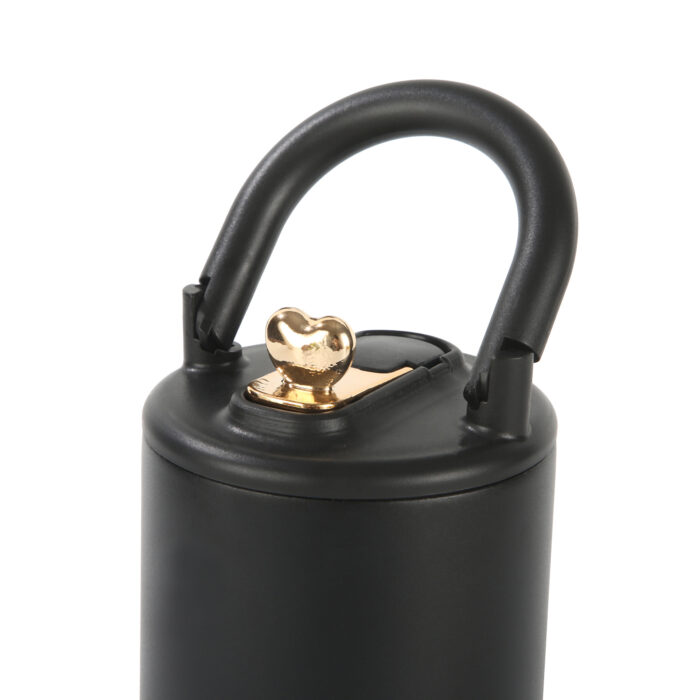 Insulated Stainless Steel Water Bottle with Straw