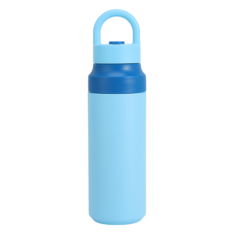 Custom Logo 550ml Insulated Sports Water Bottle with Handle